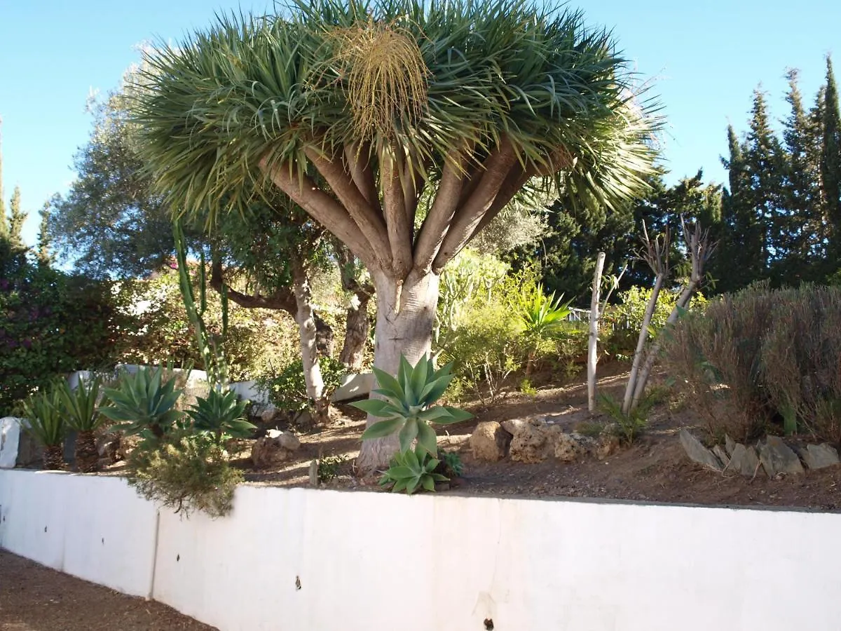 Acogedora Y Amplia Villa Con Piscina Málaga Vakantiehuis